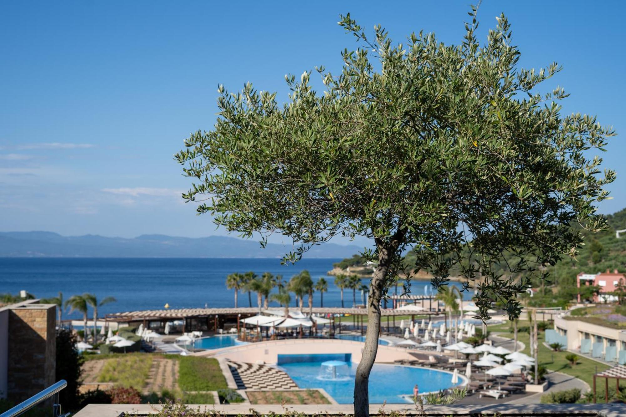 Miraggio Thermal Spa Resort Paliouri Exterior photo View of the bay of Nikiti